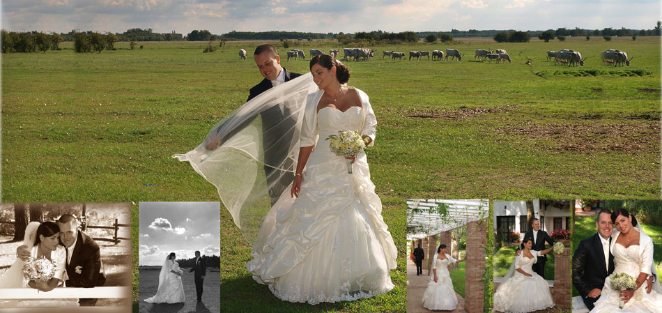 "Esküvői Fotó és Videó készítése a kikéréstől a menyasszonytánc végéig"
